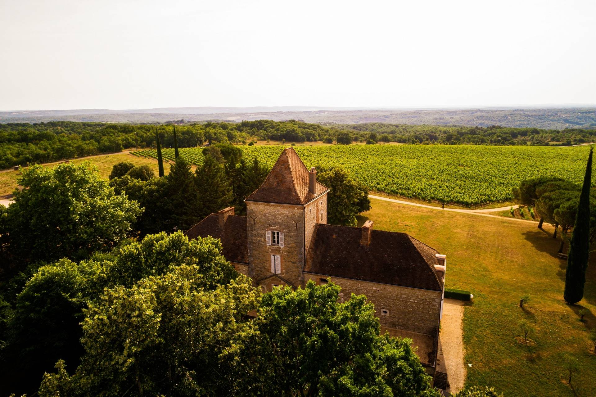 Visit of the vineyard and Tasting in the cellar