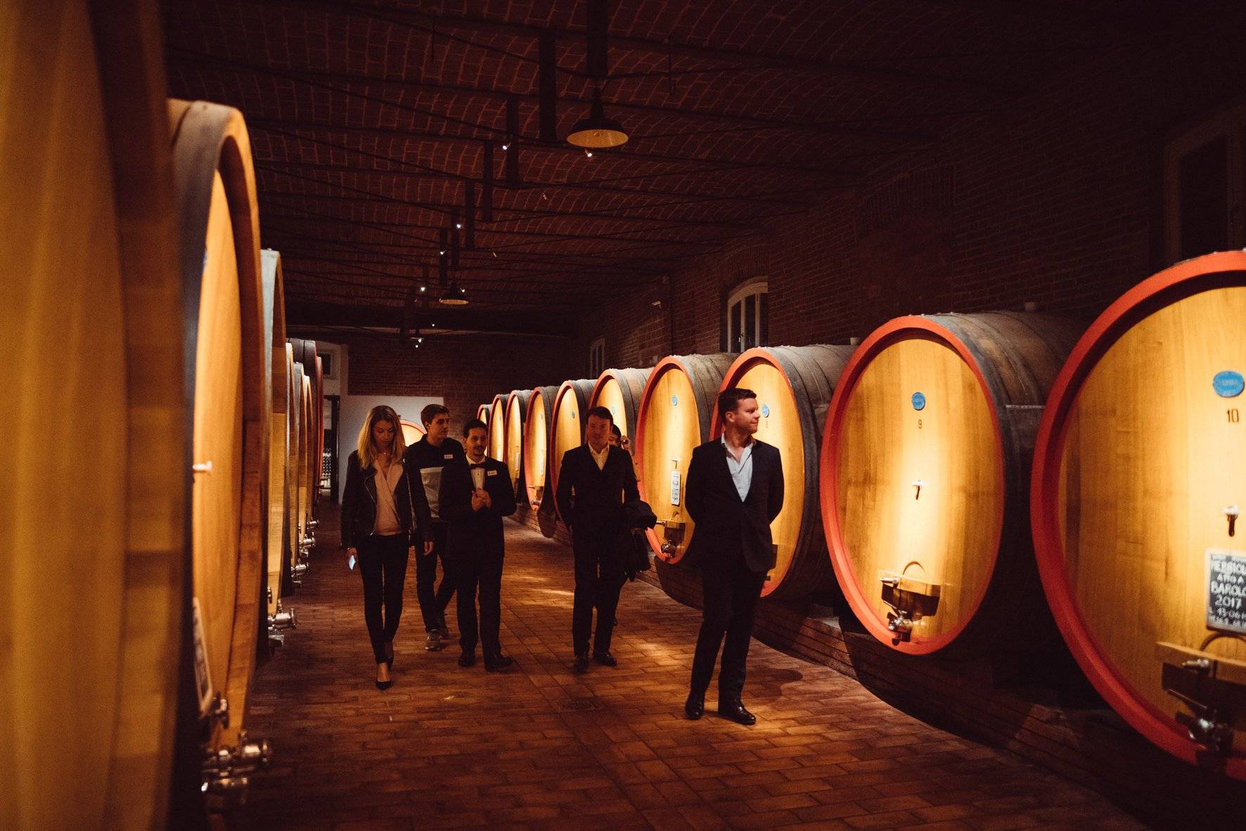 The evolution of a family