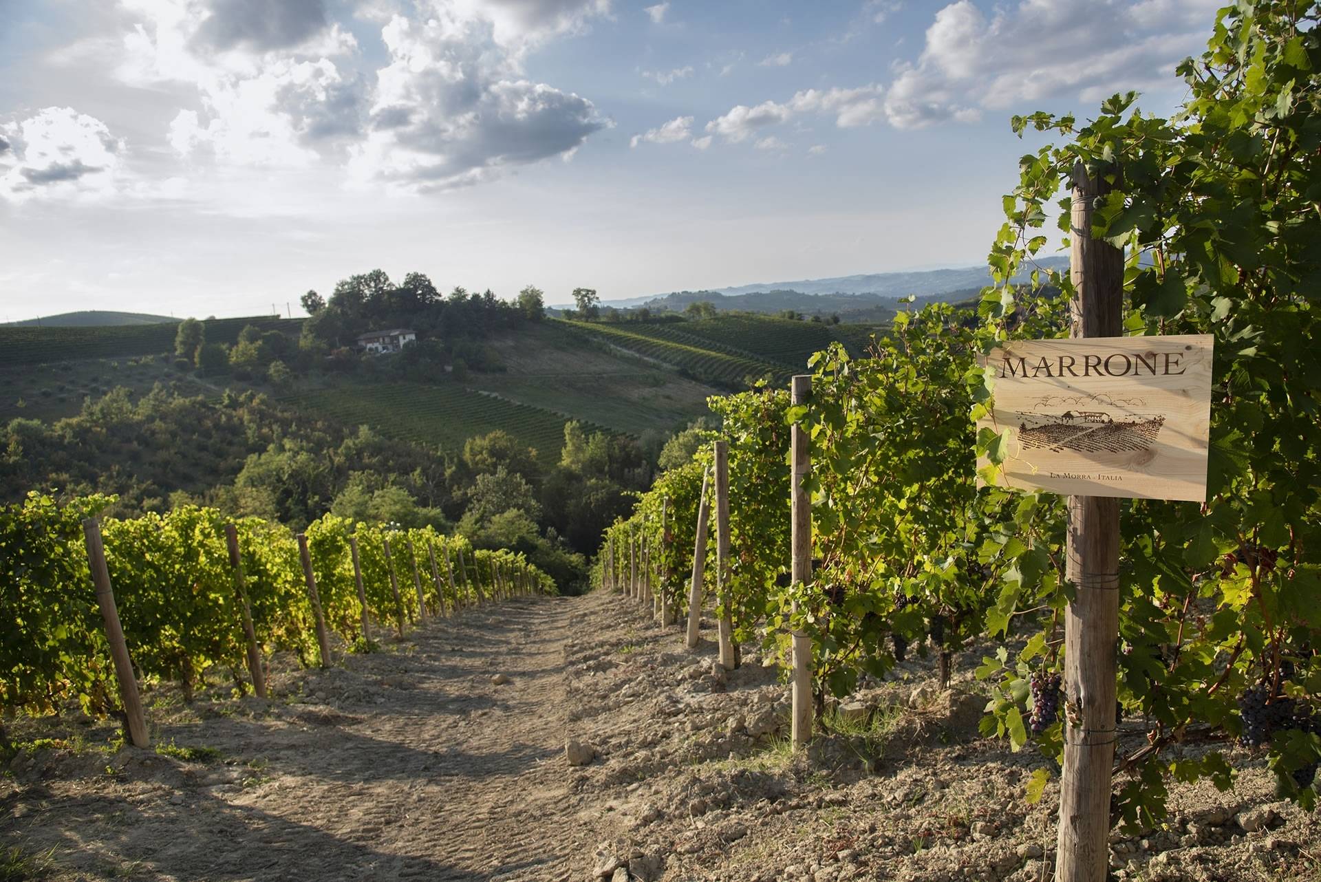 AGRICOLA GIAN PIERO MARRONE