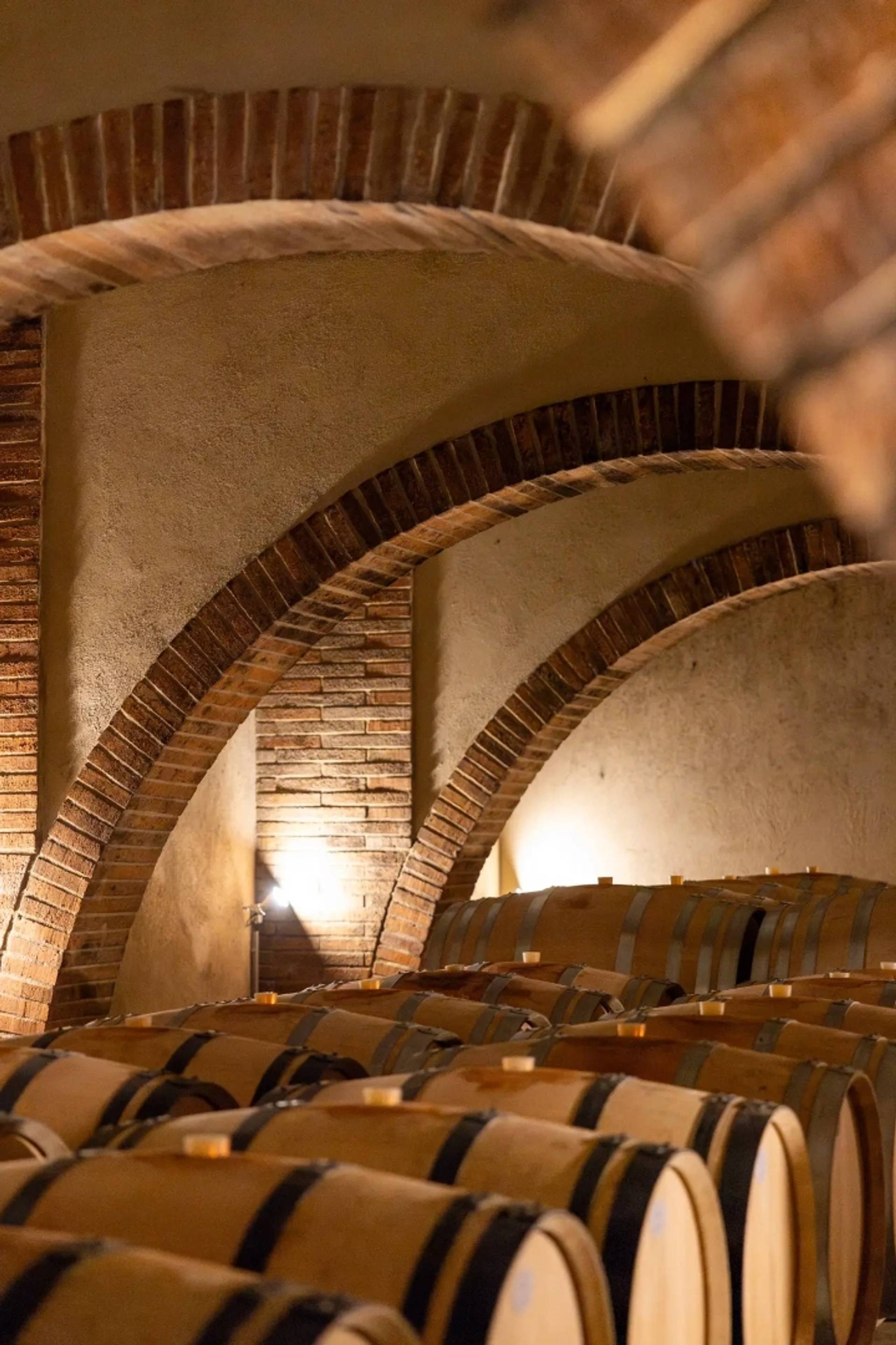 Visit & Tasting at Château Montana