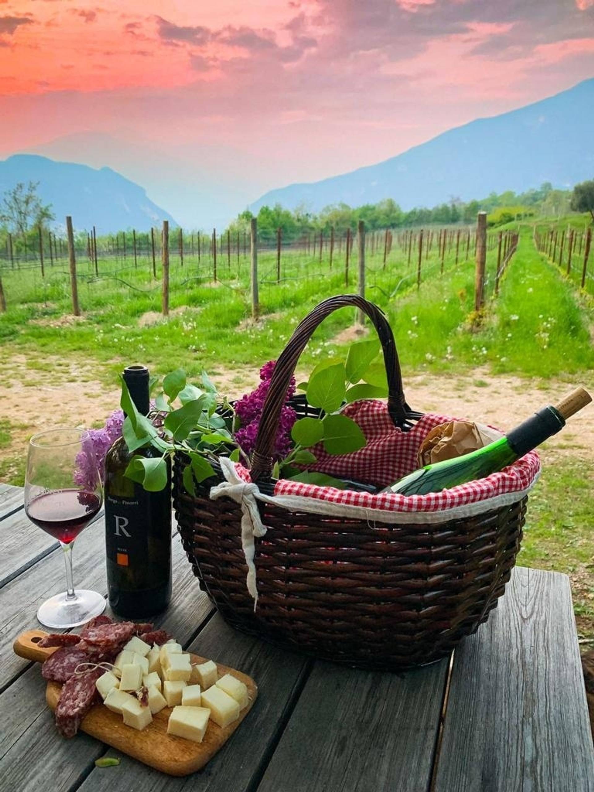 Enotour – A tasting among the vineyards