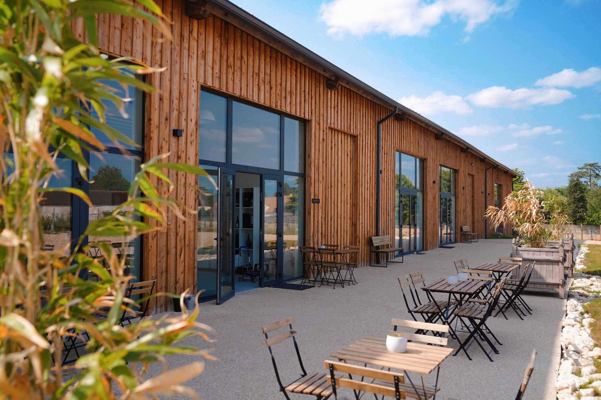 Visit & Food Pairing Tasting (Sunday)