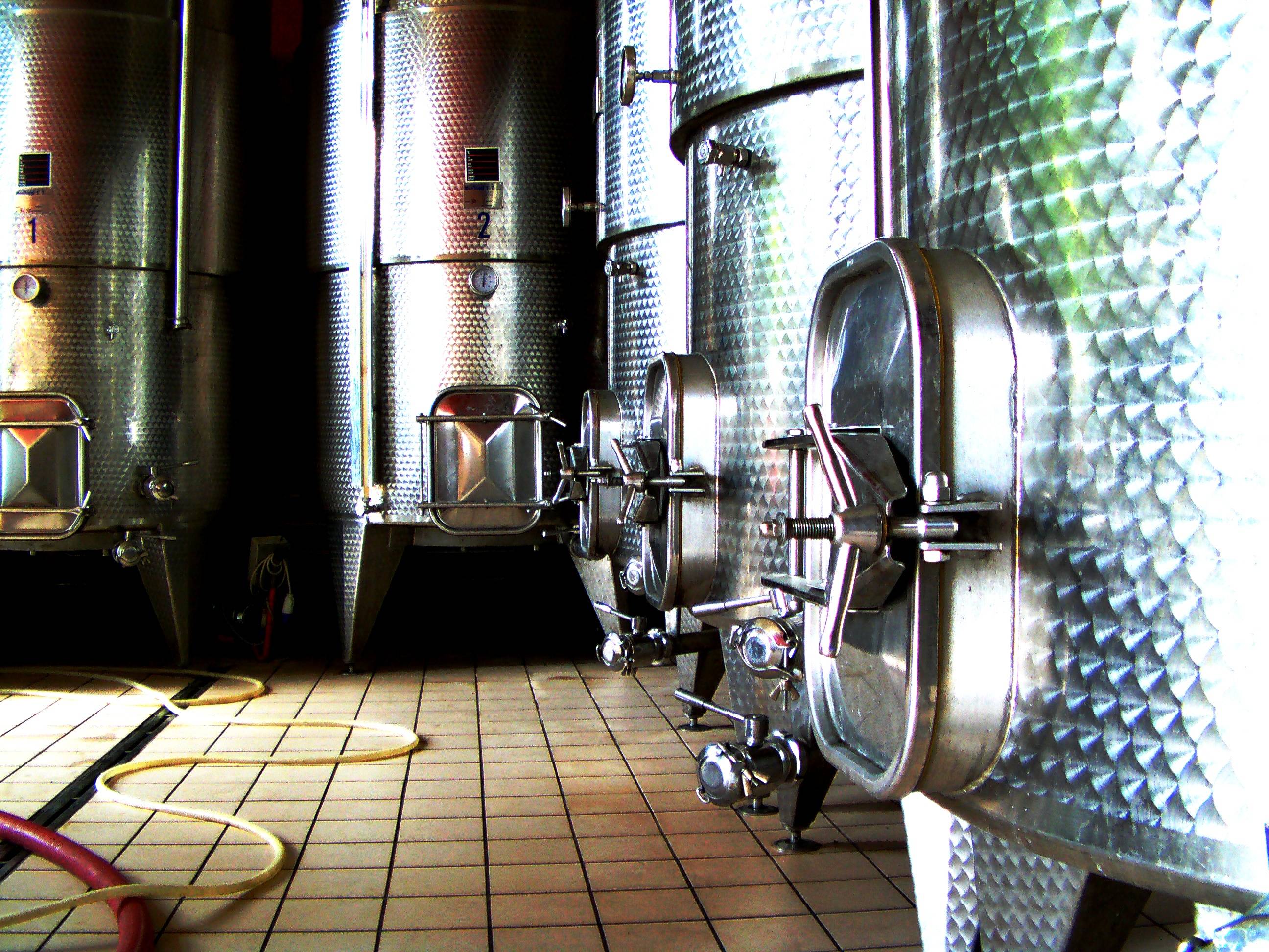 Guided tour and tasting of 3 wines