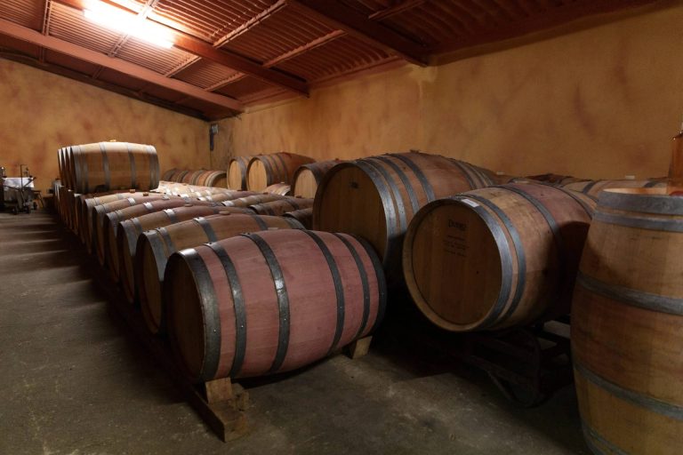 Winery visit and wine tasting