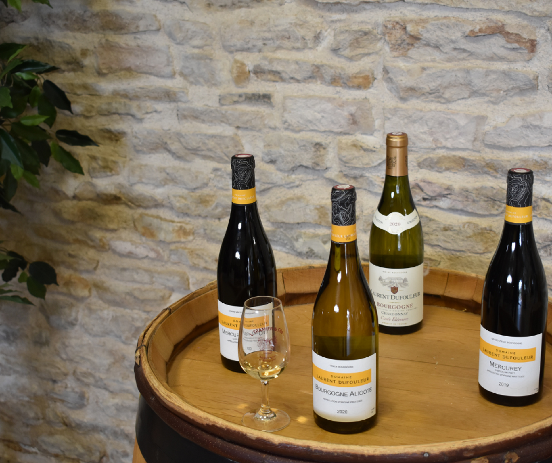 Wine diving in Mercurey