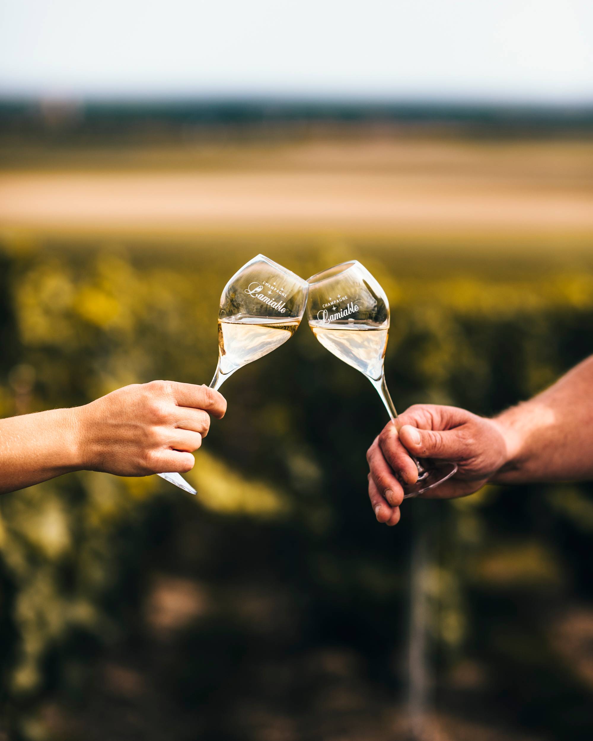 Make your own Champagne: Disgorgement Experience