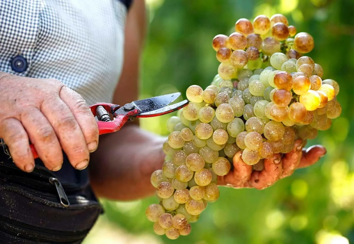 Quinta do Pinto – Visita Lisboa