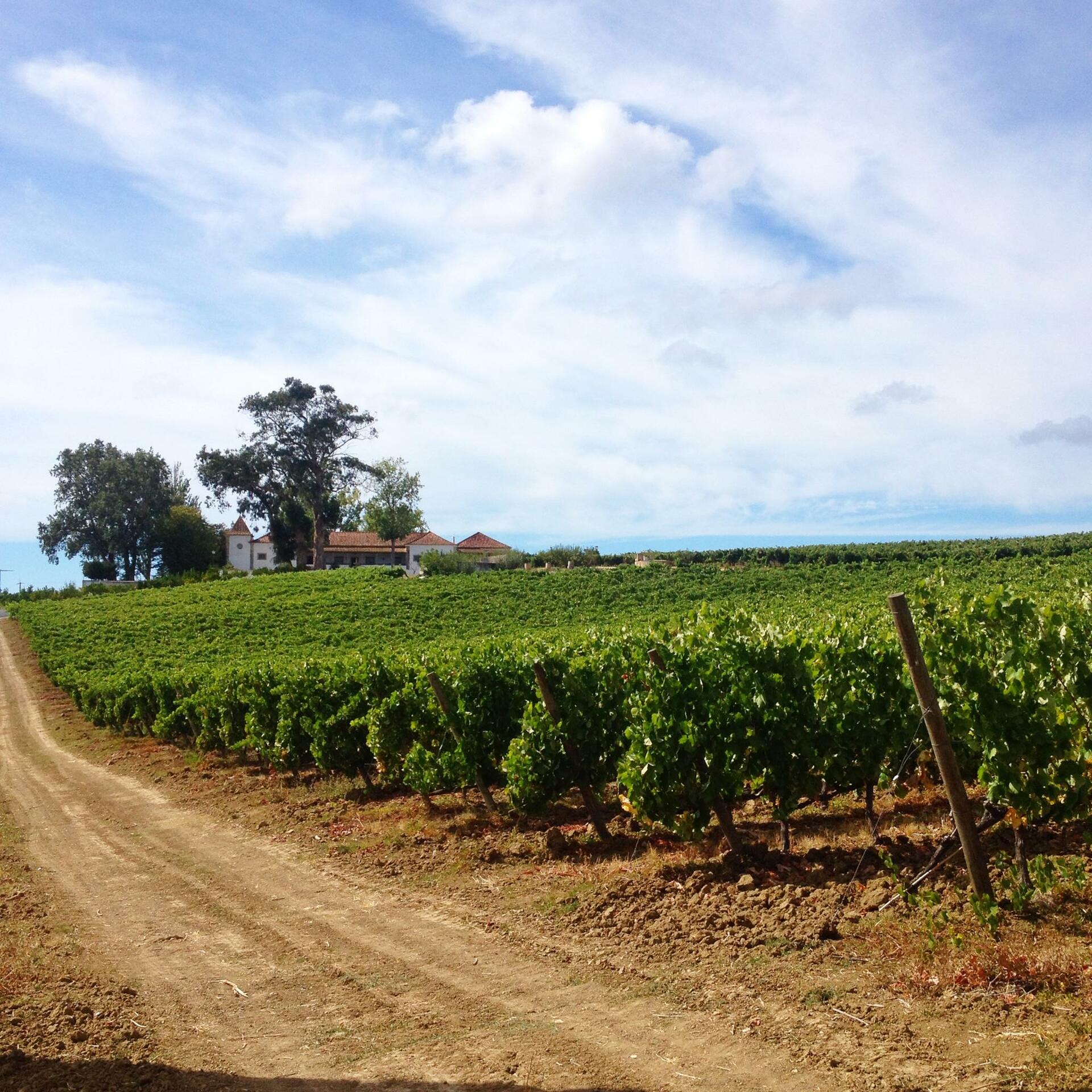 Quinta do Pinto – Visita Lisboa