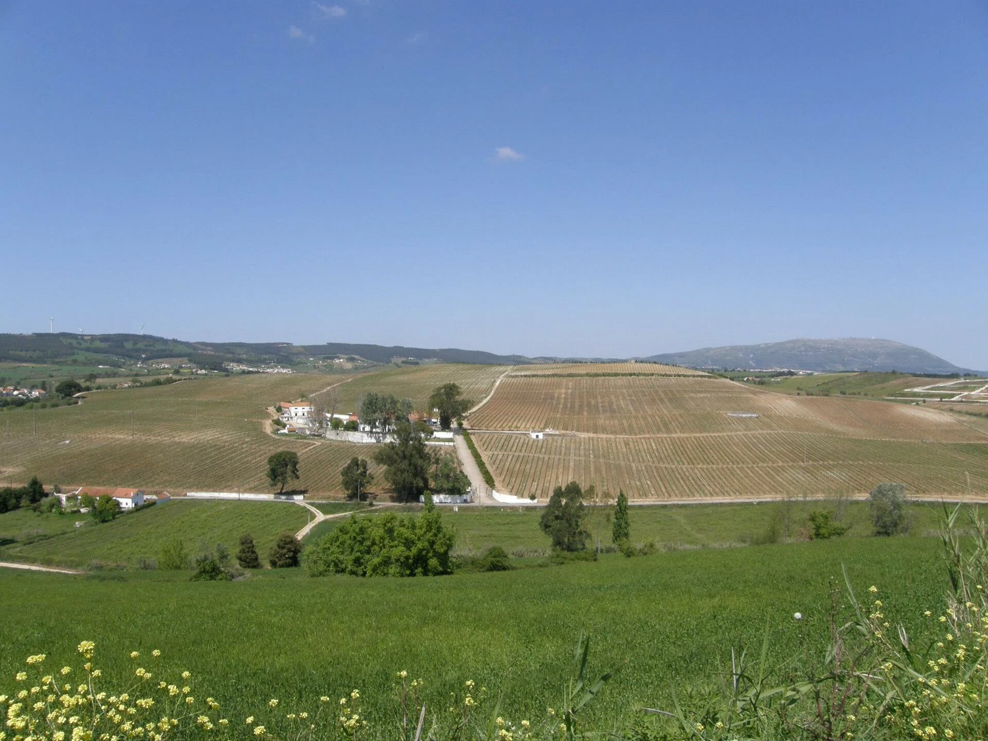 Quinta do Pinto – Expressões