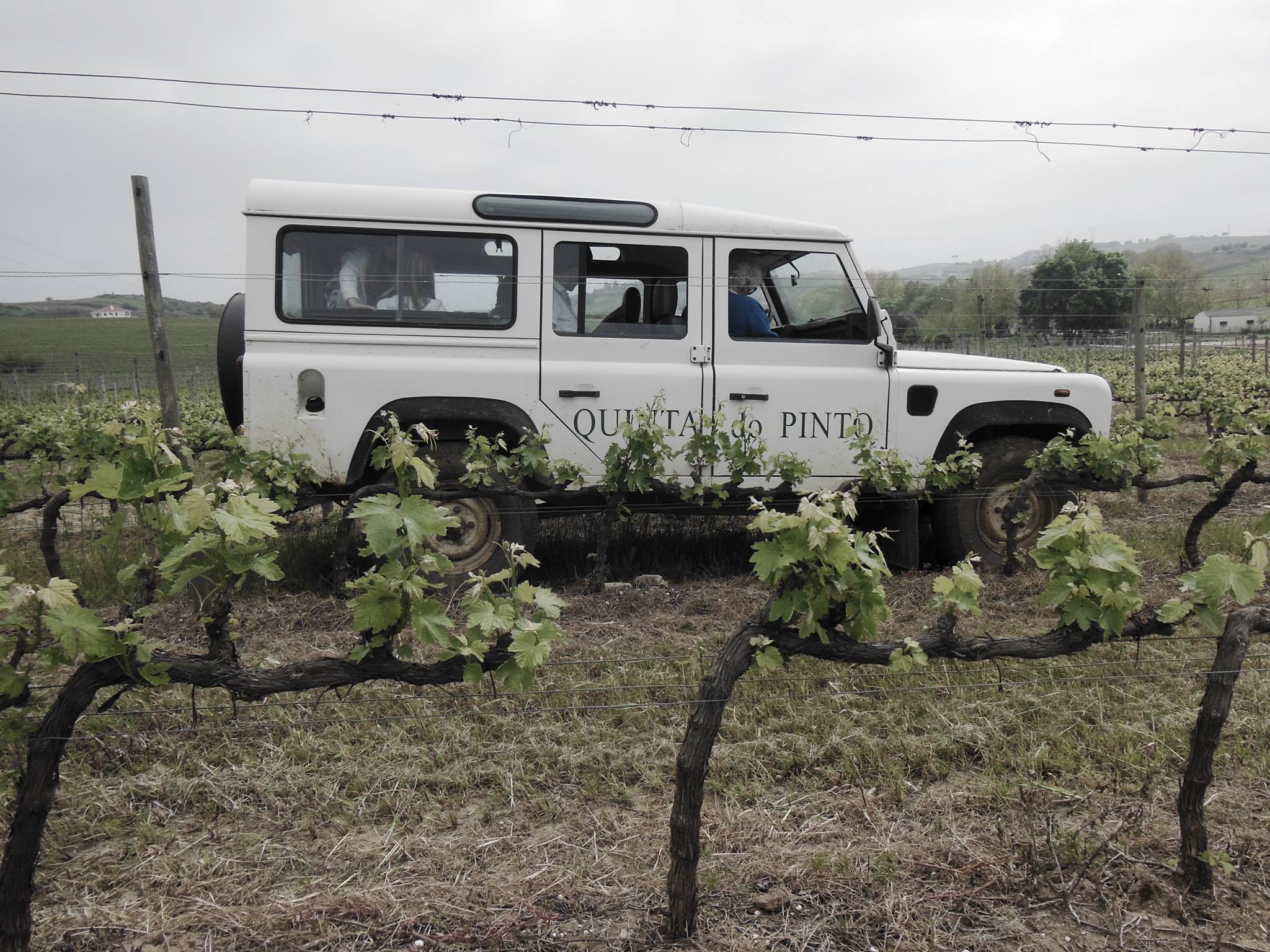 Quinta do Pinto – Visita Signature