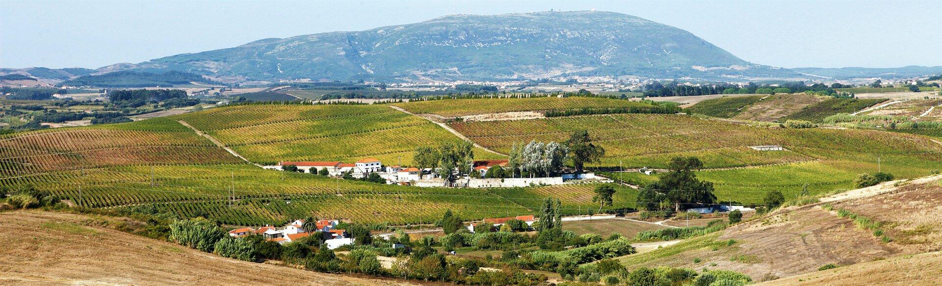 Quinta do Pinto – Visita Signature