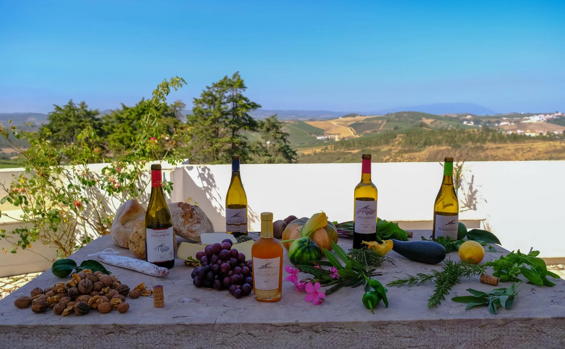 Quinta da Folgorosa – Paleta de Folgorosa