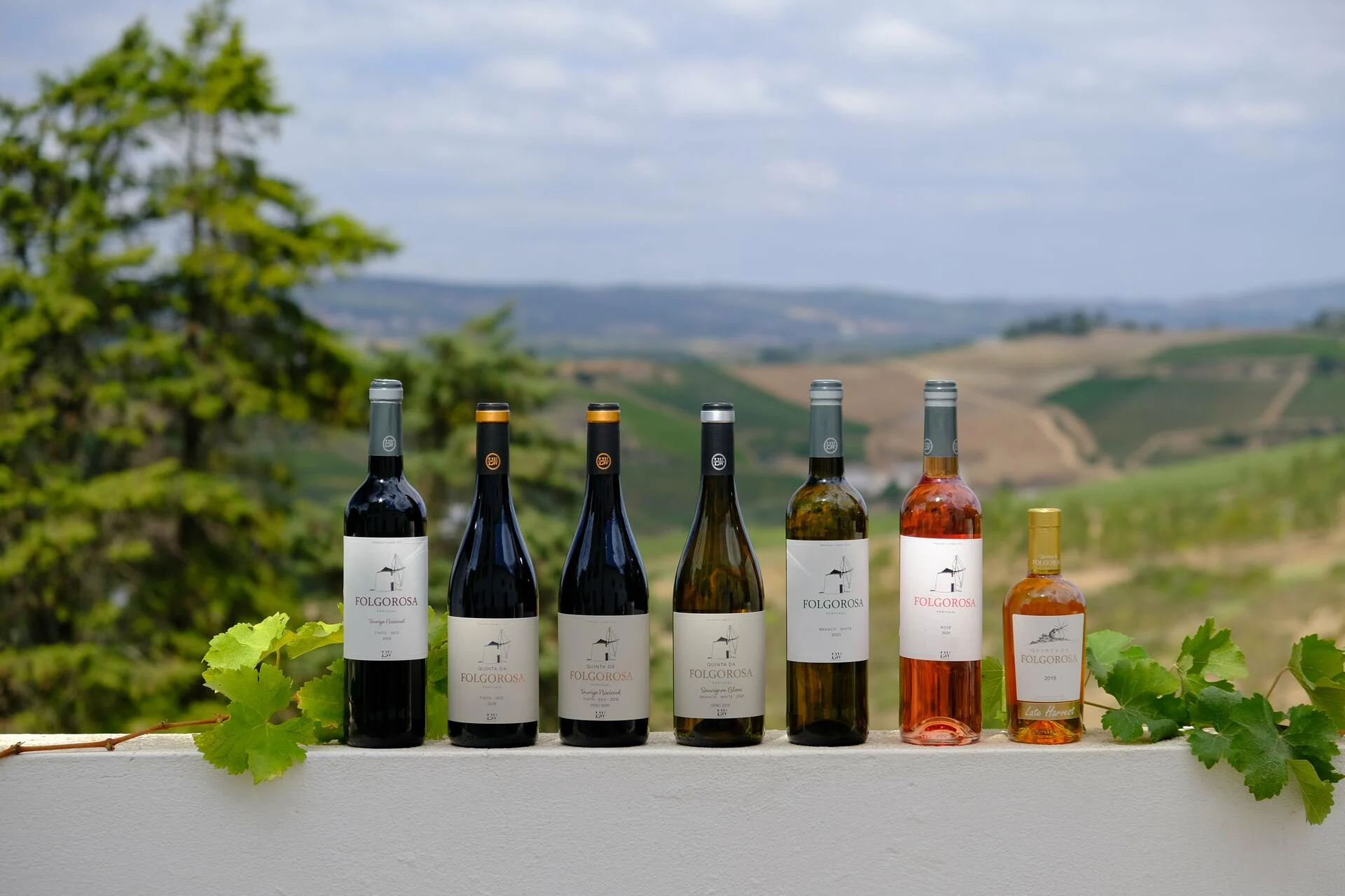 Quinta da Folgorosa – Paleta de Folgorosa