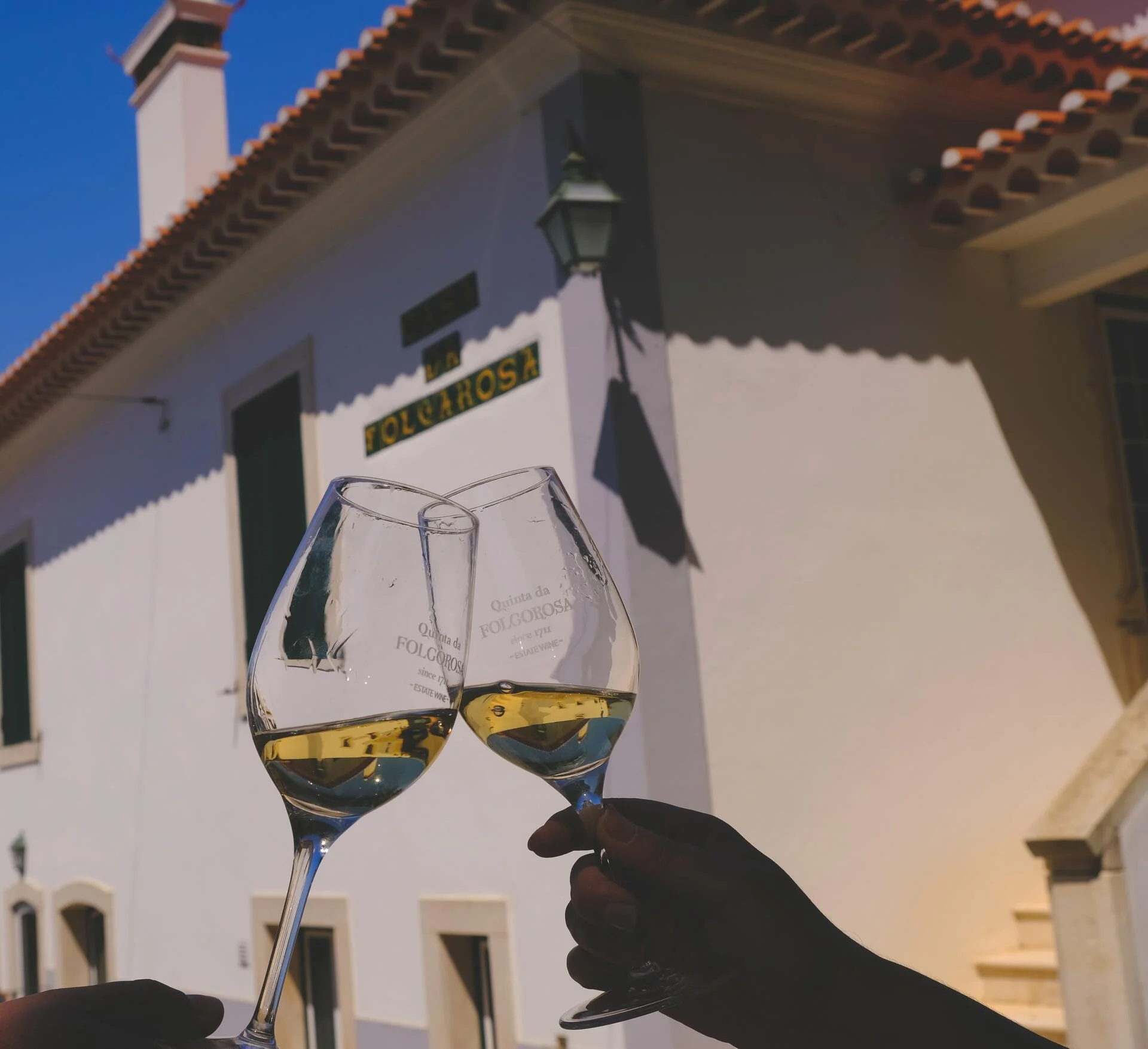 Quinta da Folgorosa – Enólogo por um Dia