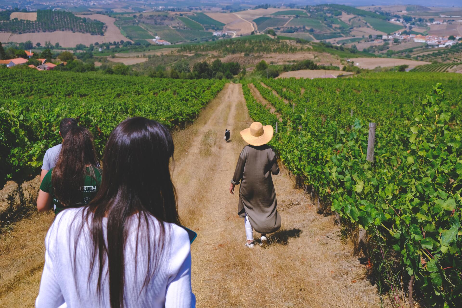 Quinta da Folgorosa – Enólogo por um Dia