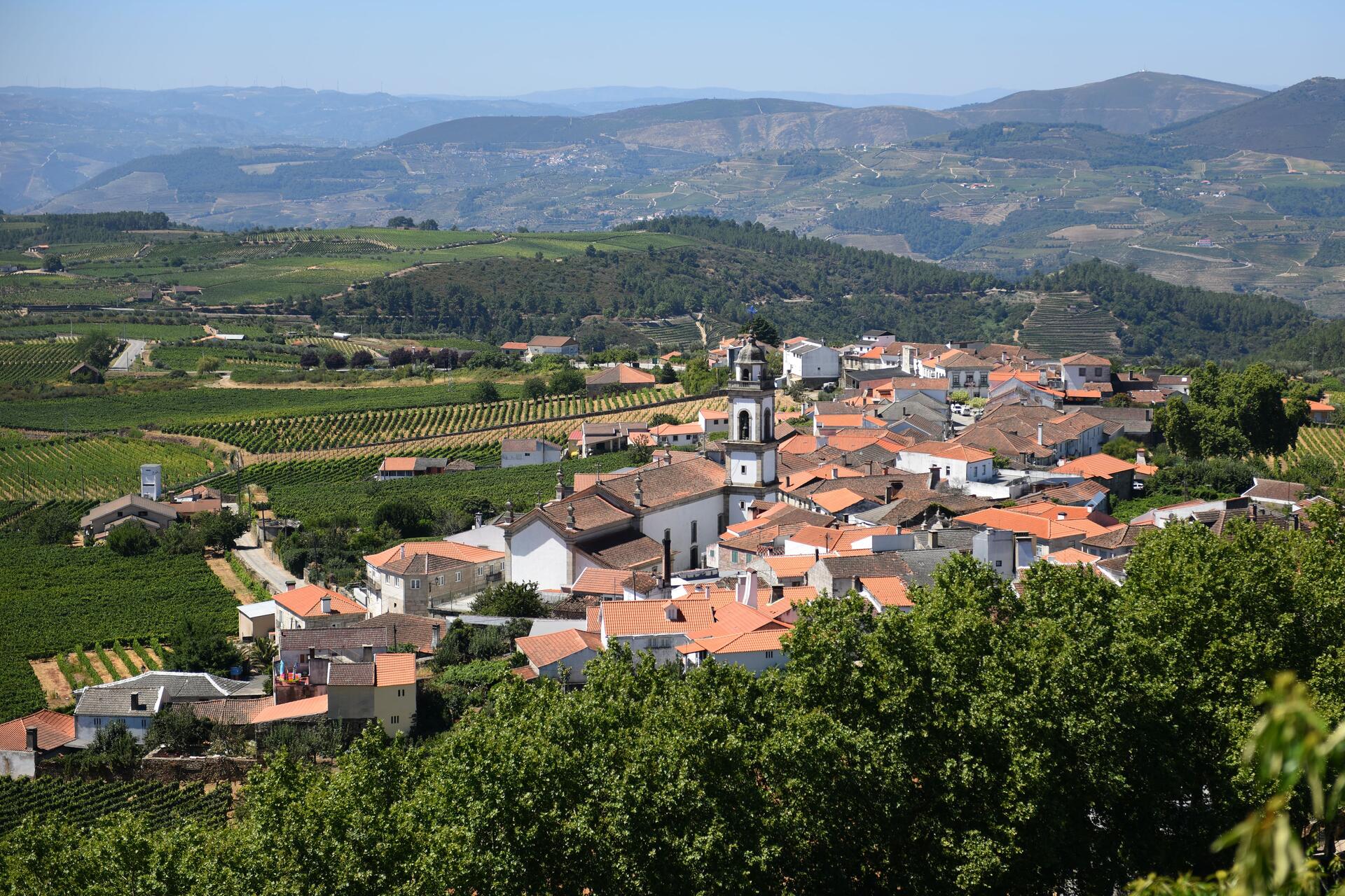 Visite a Mais Famosa Aldeia do Vinho no Douro