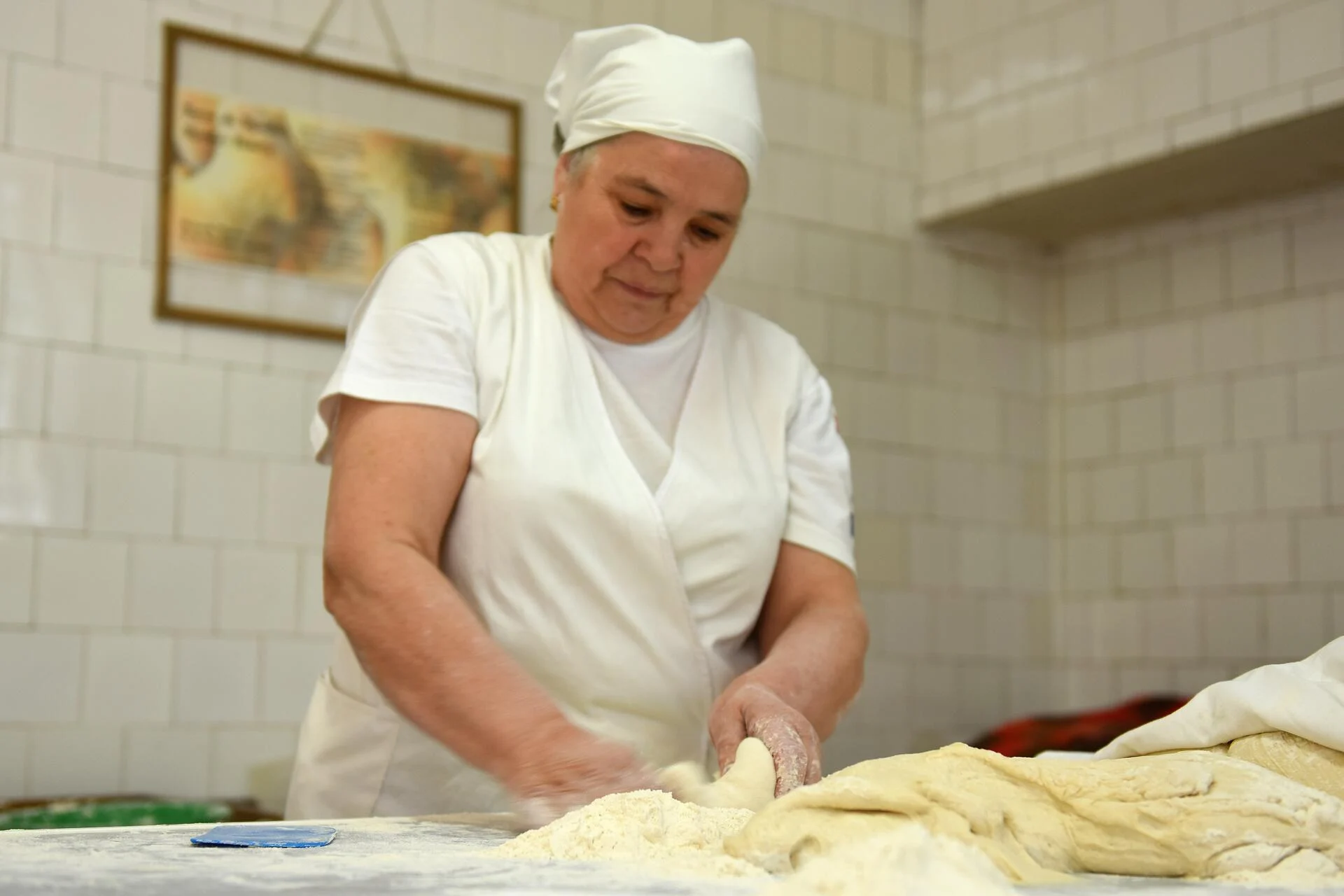 Visite a Mais Famosa Aldeia do Vinho no Douro