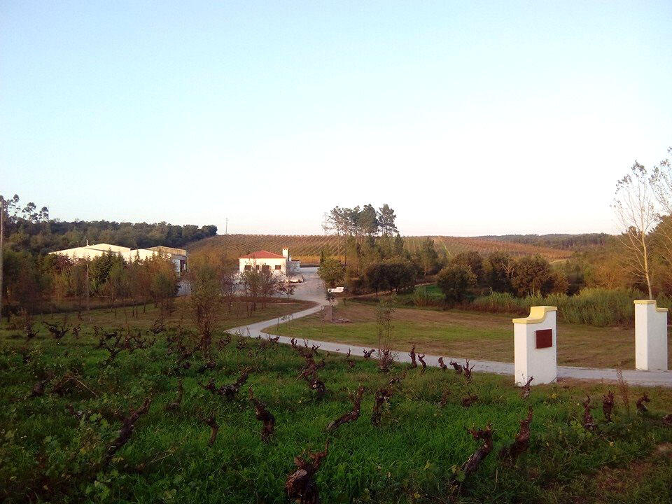 Herdade dos Templários – Visita & Prova de Vinhos