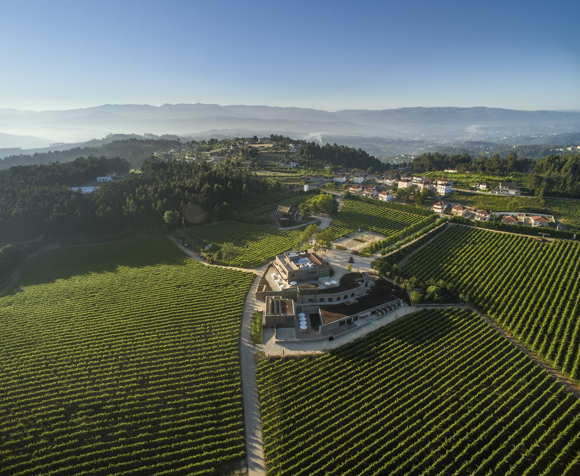 Monverde – Premium Tasting Private Collection