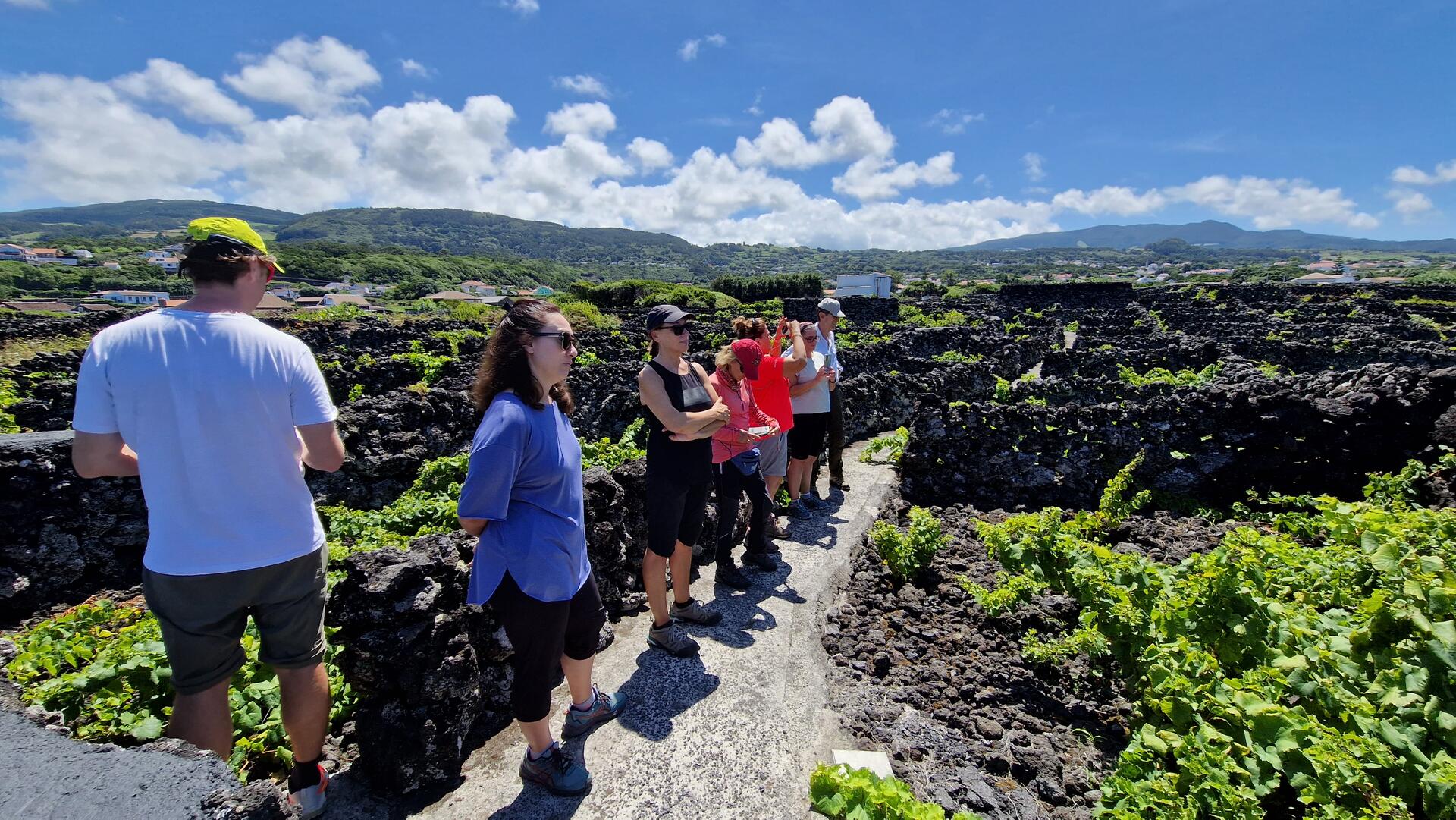 Tour Privado Vinhos & Aguardentes