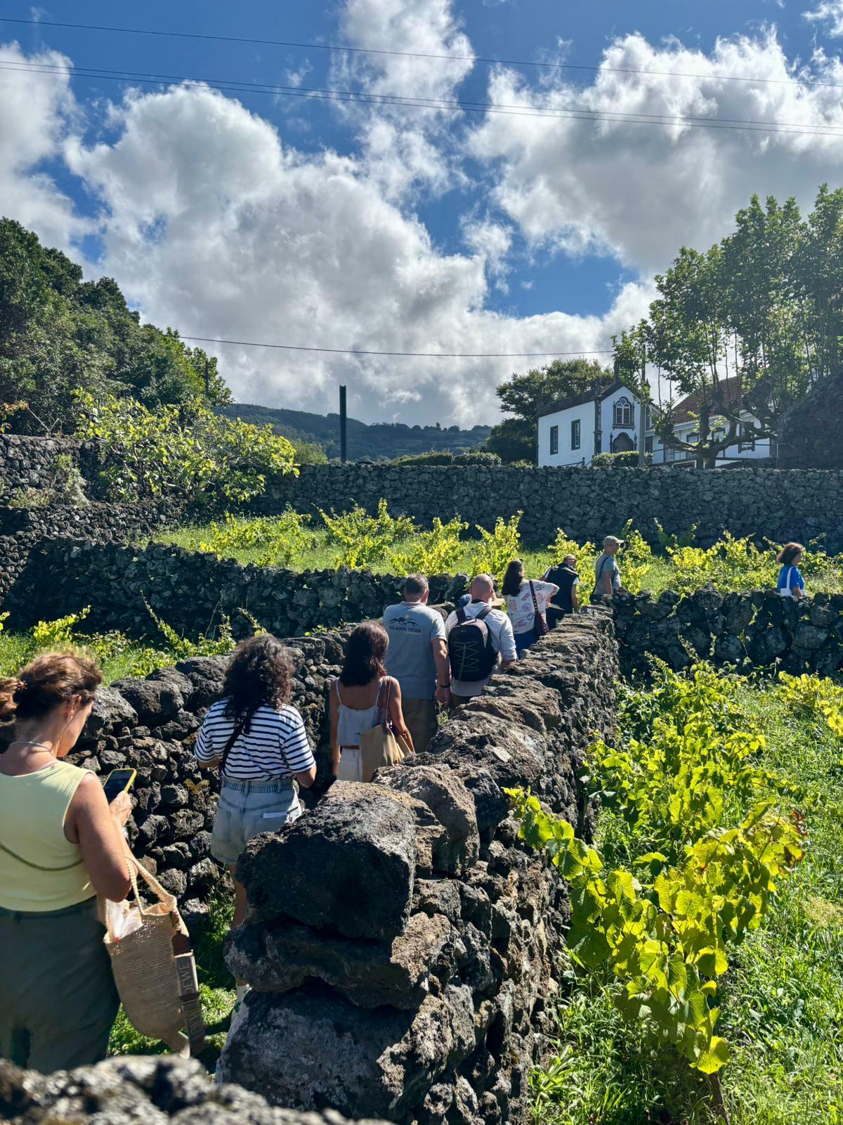 Tour Experiência Única Numa Adega Local