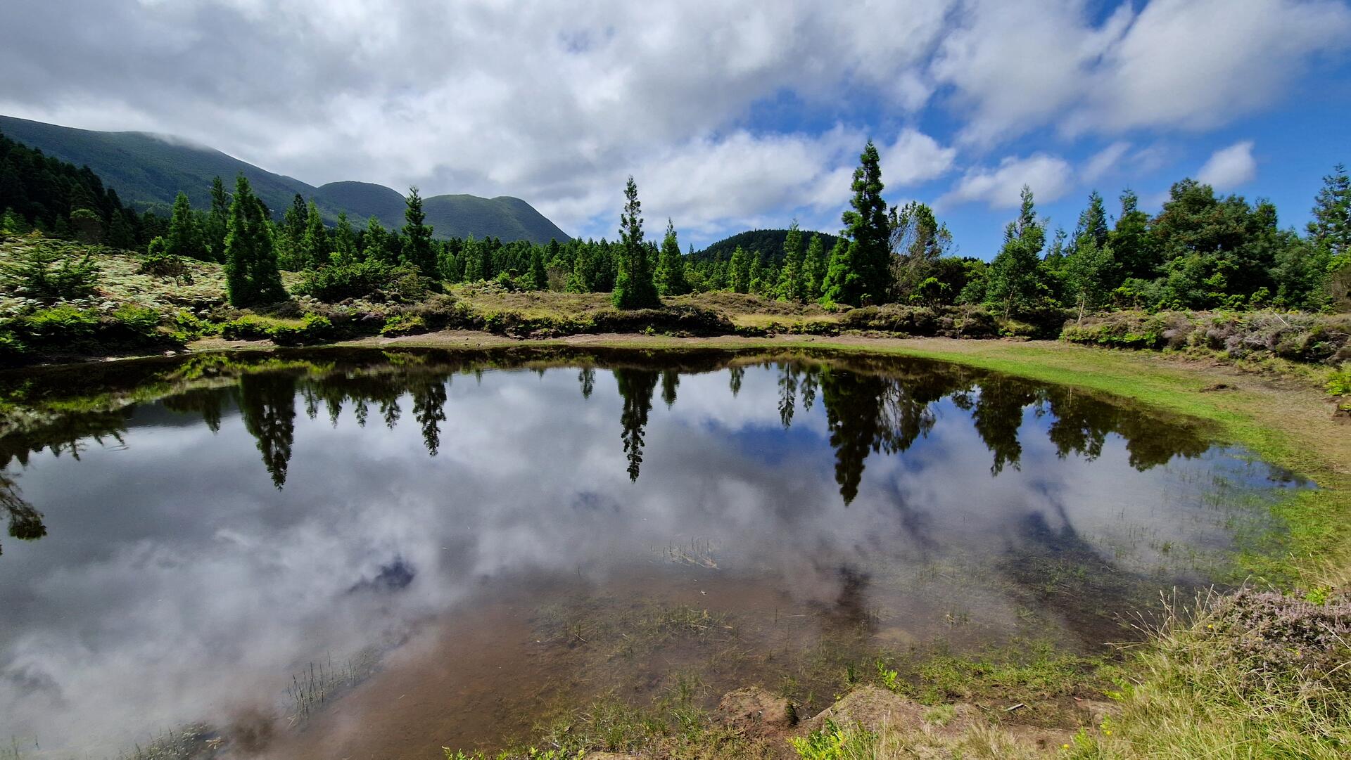Tour Experiência Única Numa Adega Local