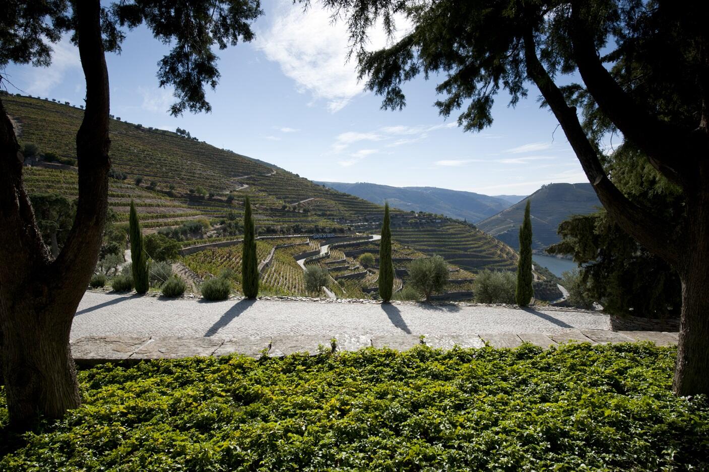 Quinta do Seixo – Visita Douro