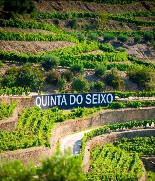 Quinta do Seixo – Visita à Vinha