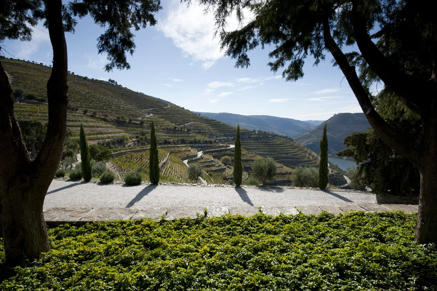 Quinta do Seixo – Visita Premium Douro DOC