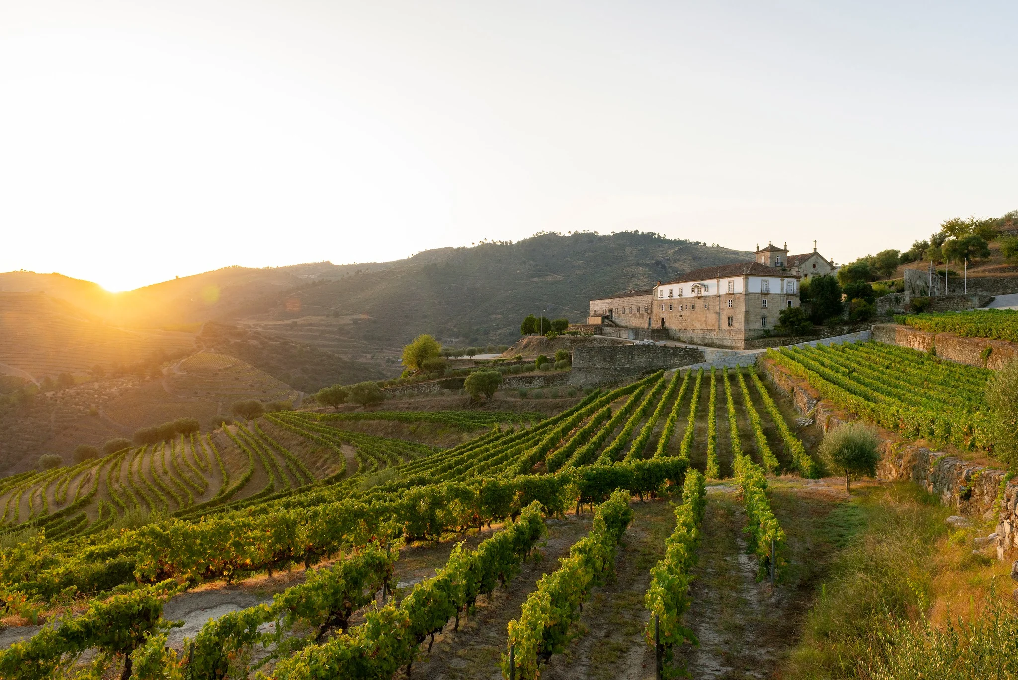 Kranemann Wine Estates – Visita & Prova de Vinhos