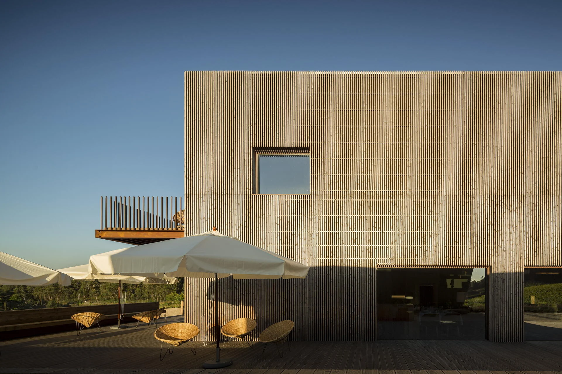 Monverde – The “Inside-Out” Grape