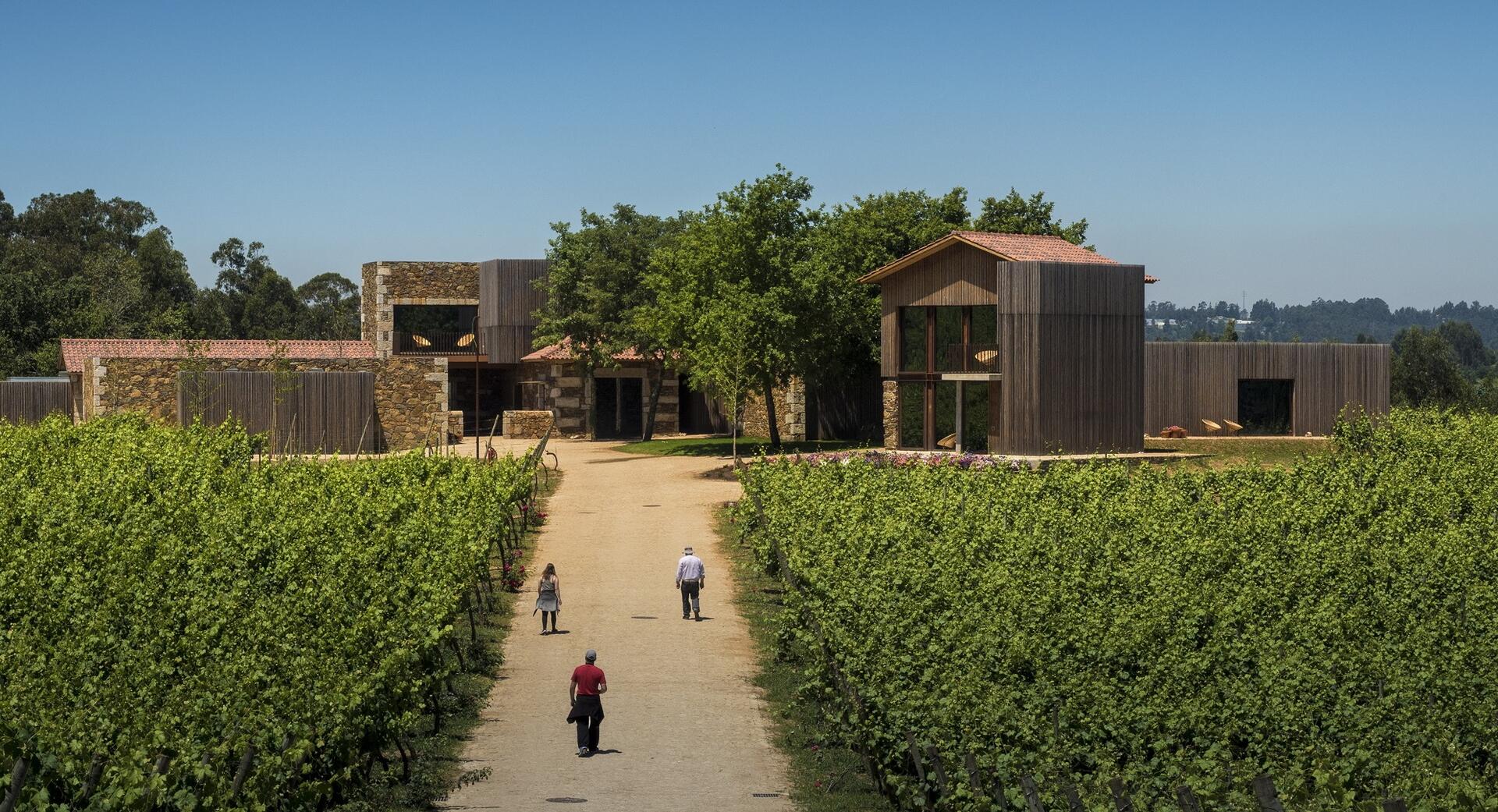 Monverde – The “Inside-Out” Grape