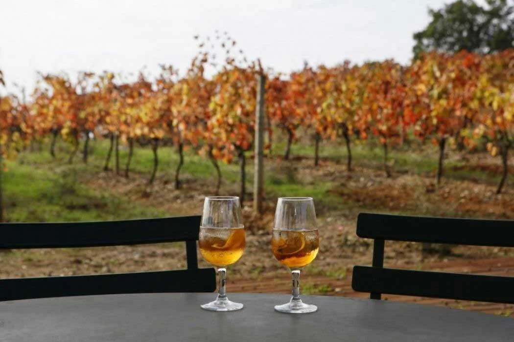 Alquimia do Moscatel de Setúbal