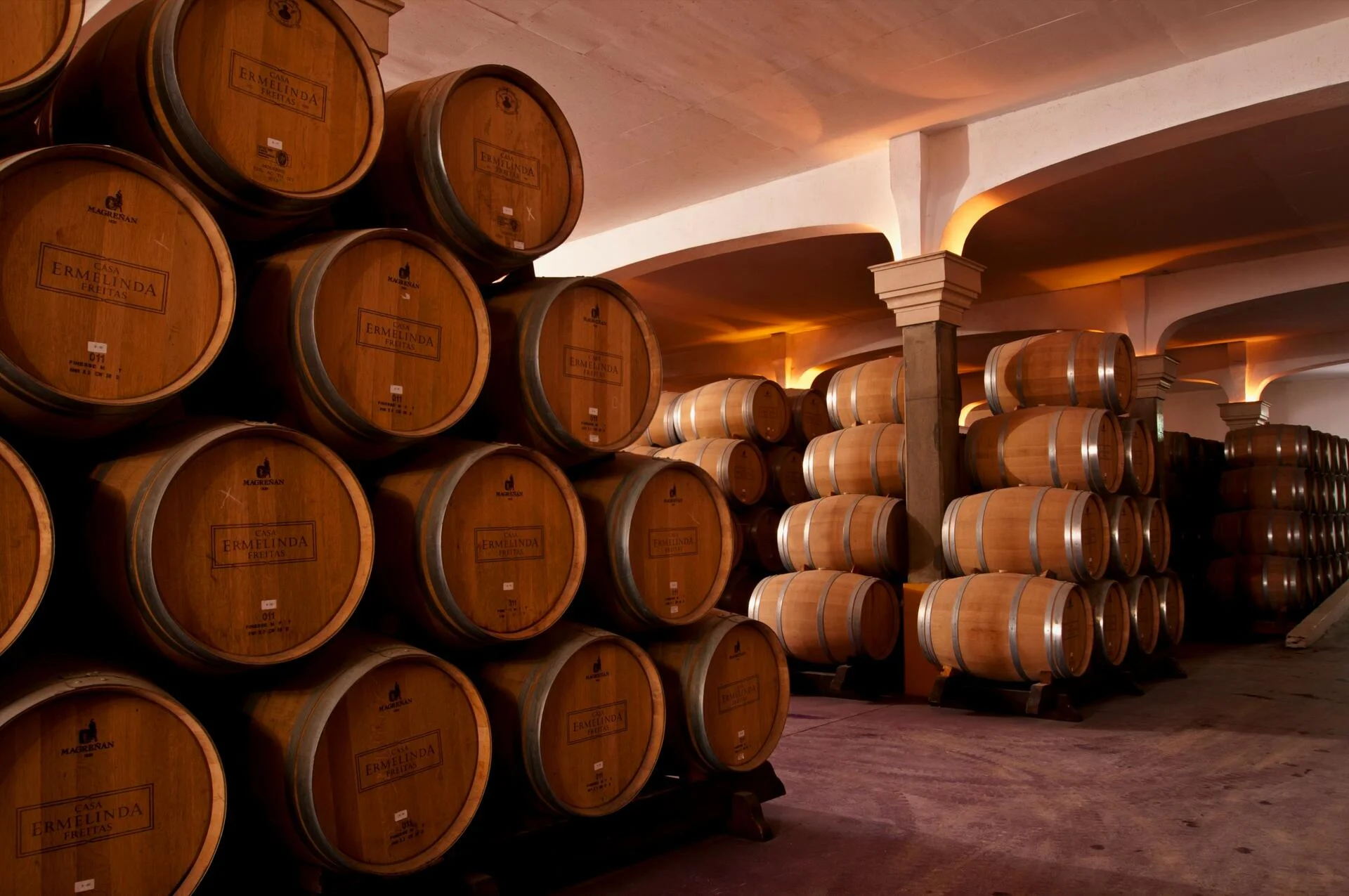 Alquimia do Moscatel de Setúbal