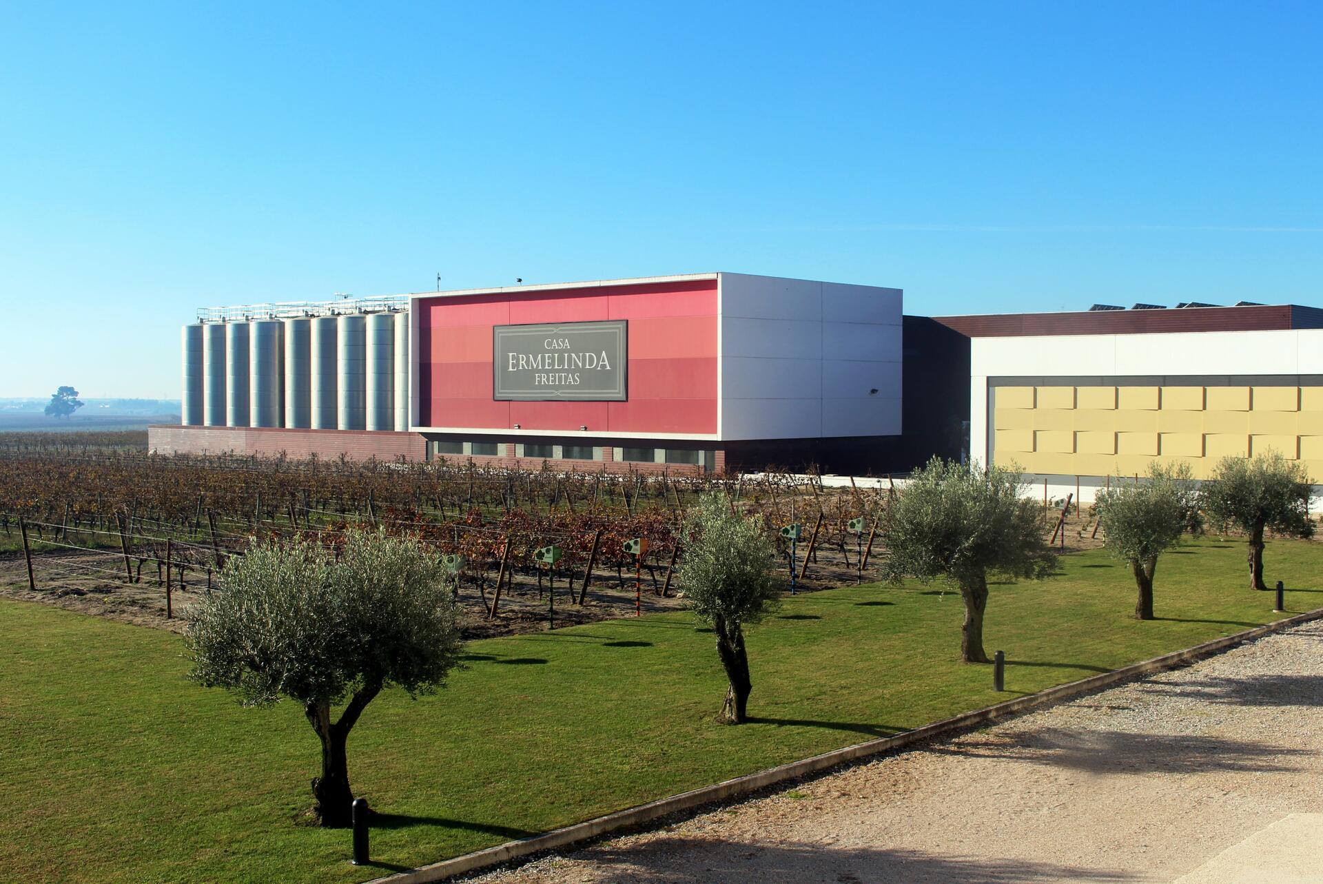 Alquimia do Moscatel de Setúbal