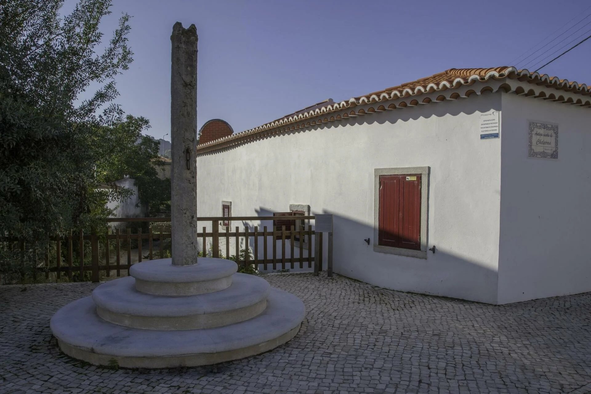 Manzwine – Crescer & Aprender