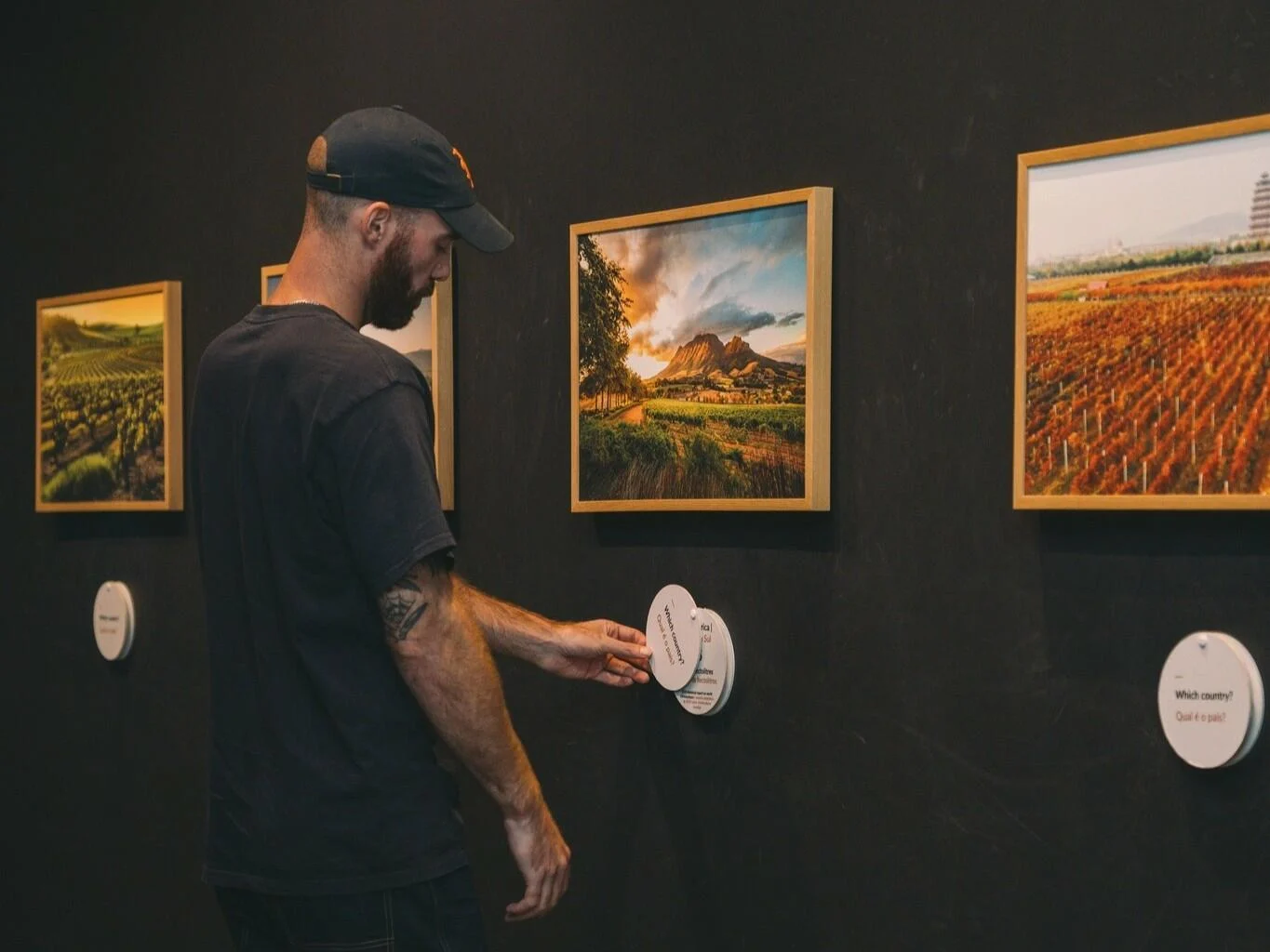 WOW – Wine Experience & Pink Palace