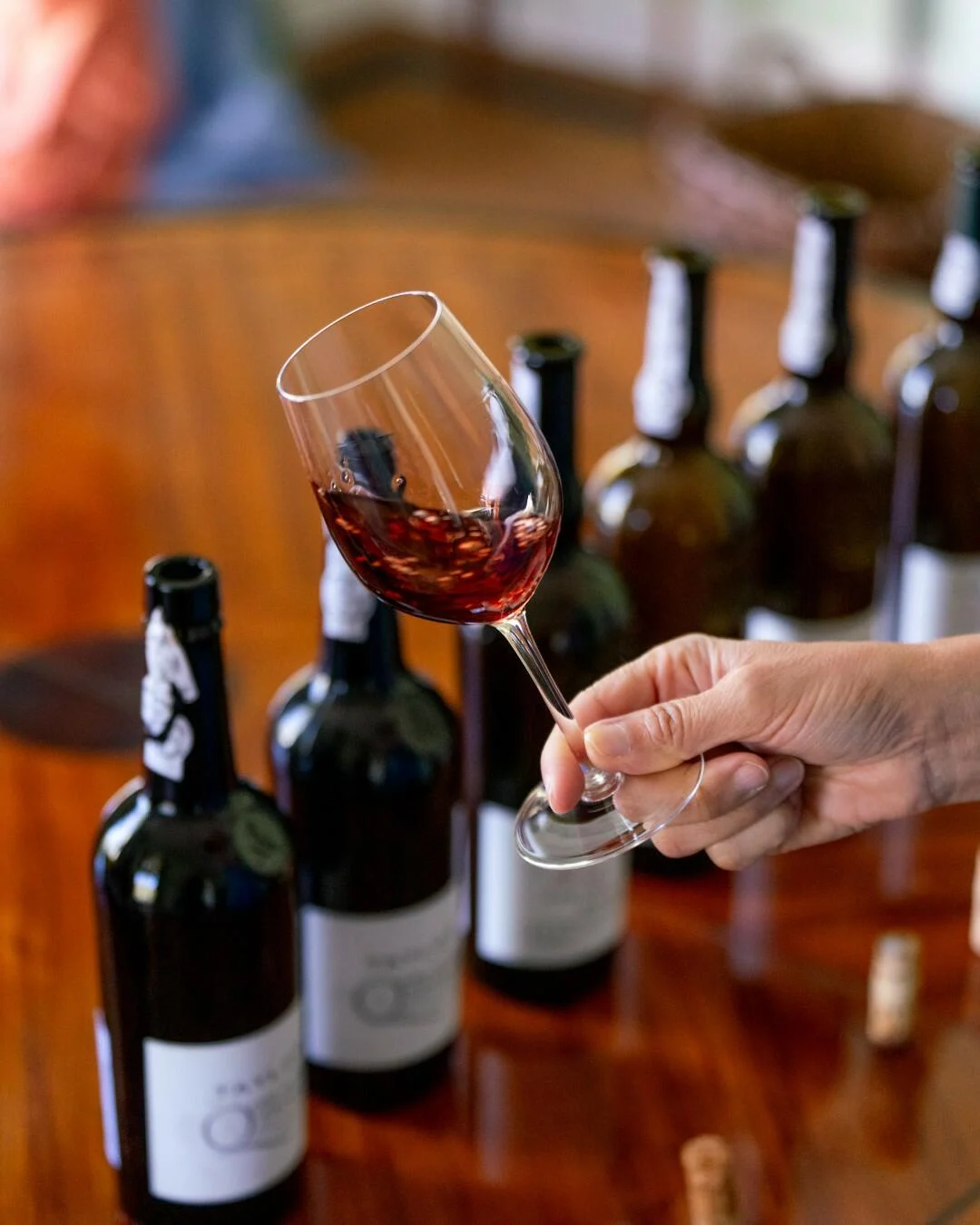 Caves Taylor’s & Museu WOW