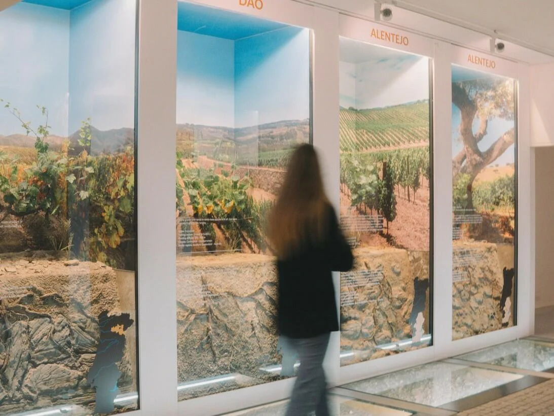 WOW – Visita ao Museu “The Wine Experience”