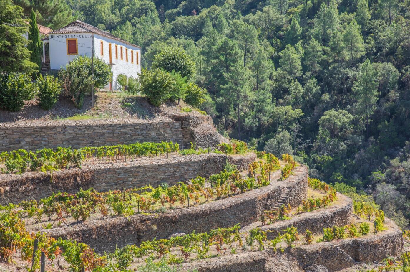 Wine & Soul – Prova Terroirs