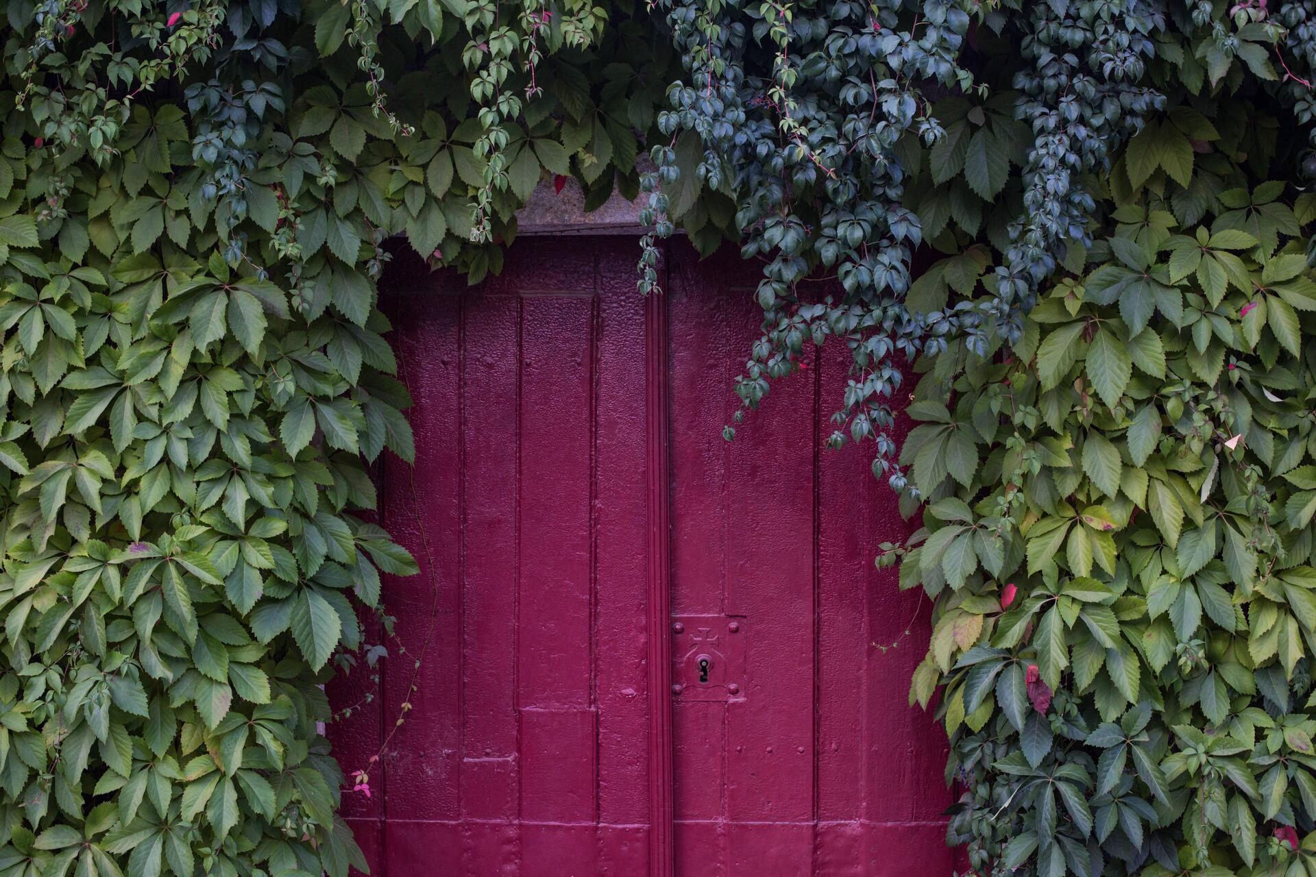 Wine & Soul – Prova Terroirs