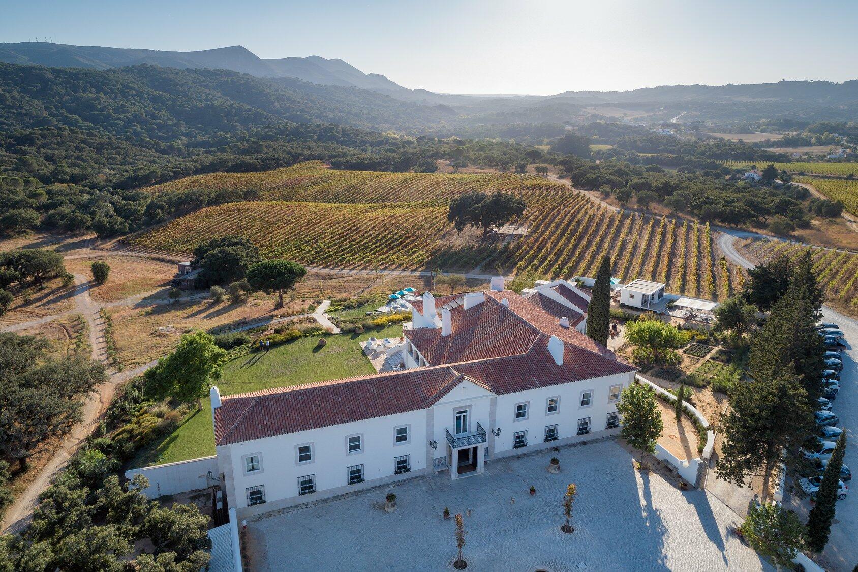 Alquimia do Moscatel de Setúbal