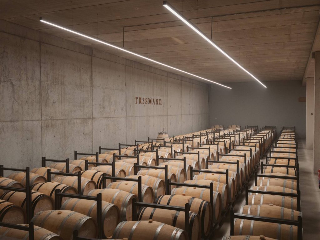 Visit to the winery + tasting of 3 of our wines.