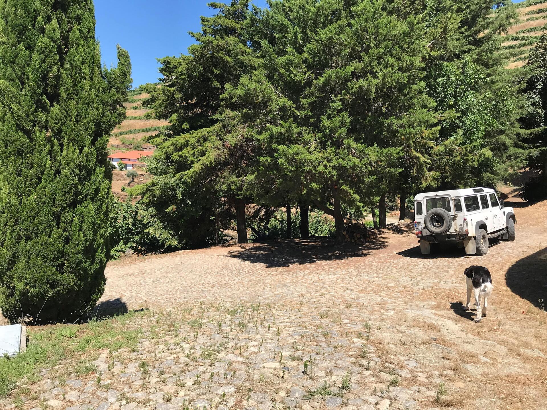 Wine & Soul – Prova de Portos