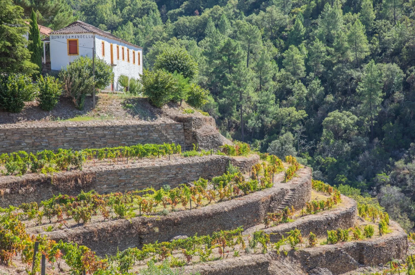 Wine & Soul – Prova de Portos