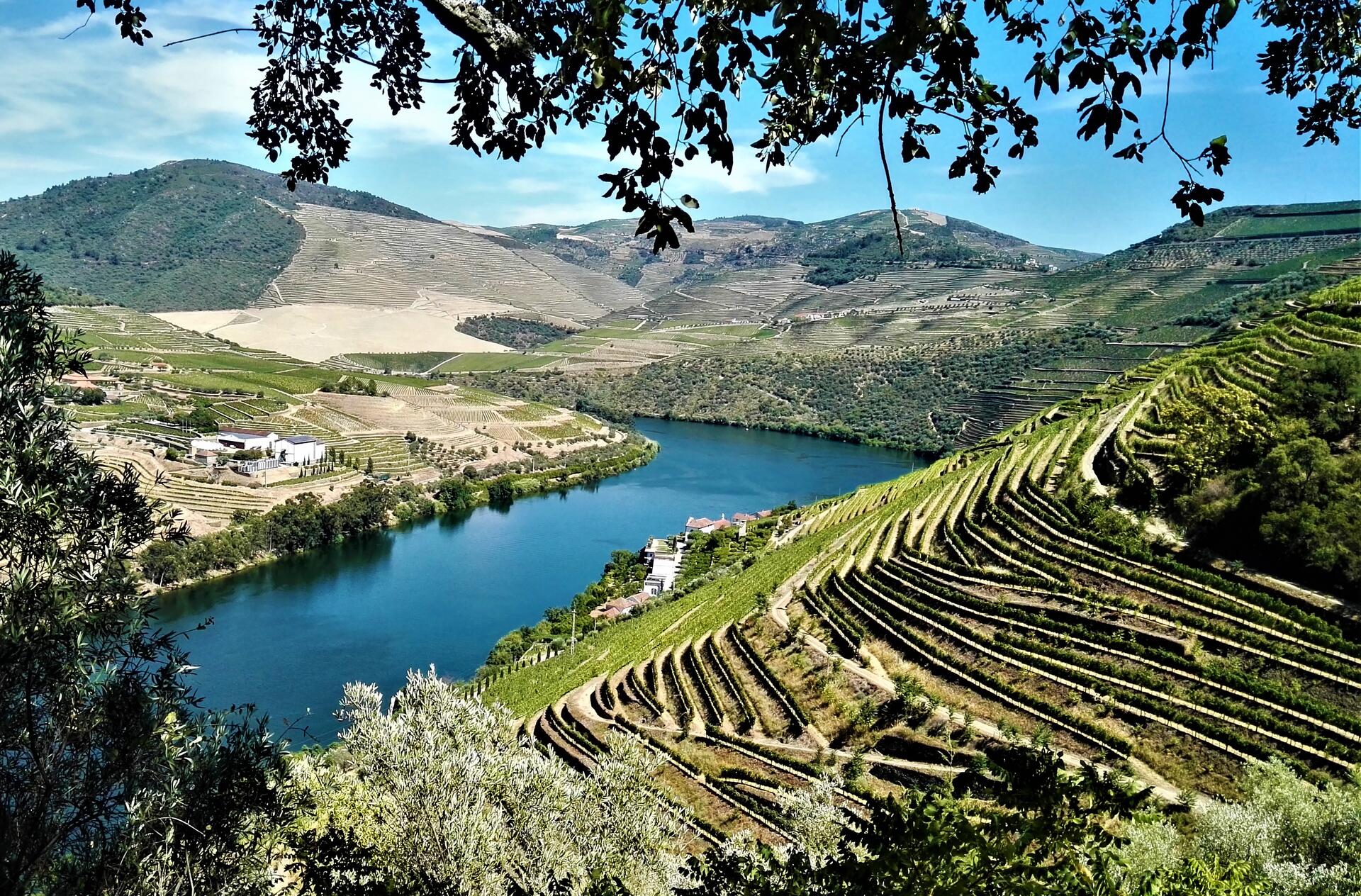Tour Premium Privado ao Vale do Douro