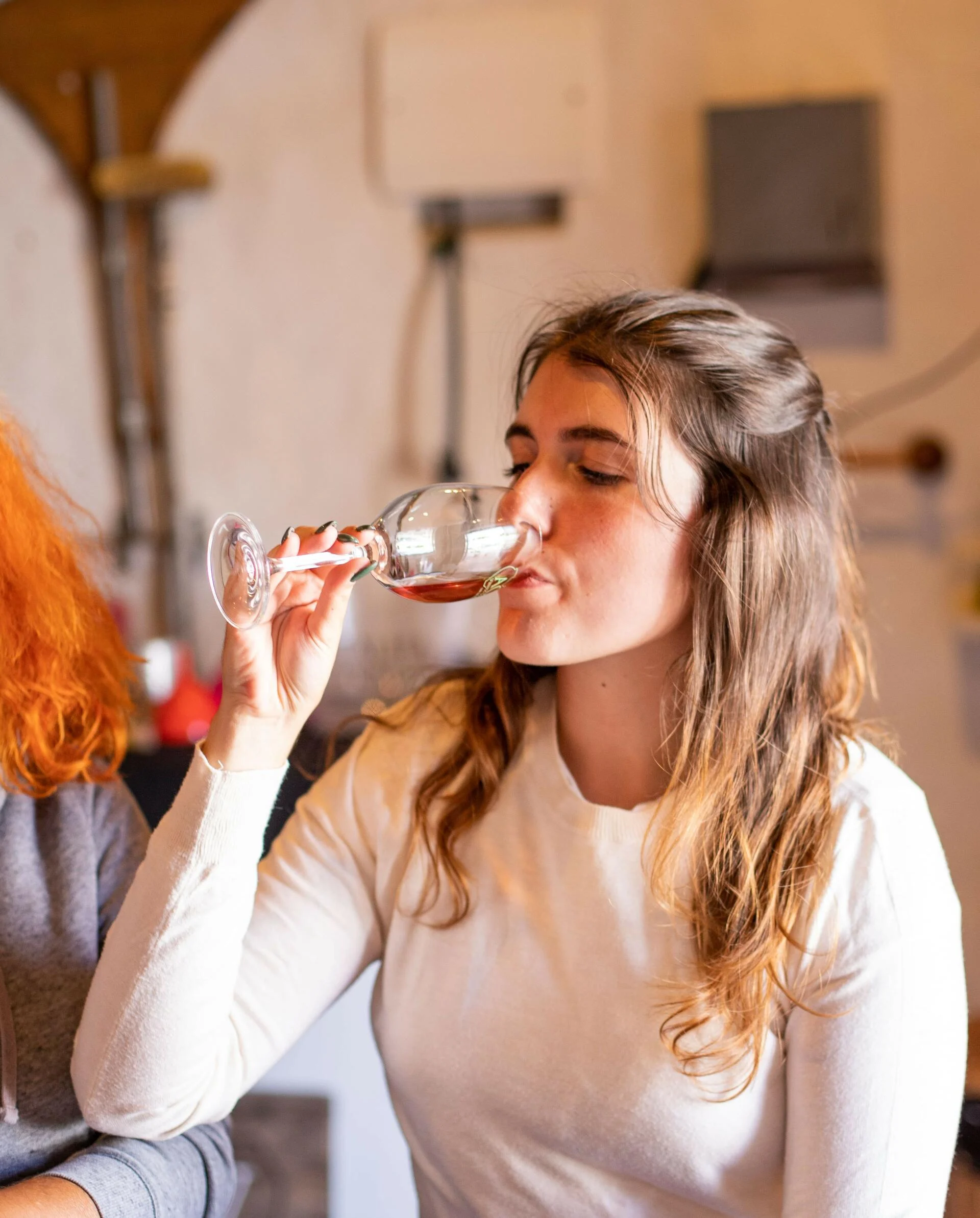 Talha de Frades – Iniciação ao Vinho de Talha