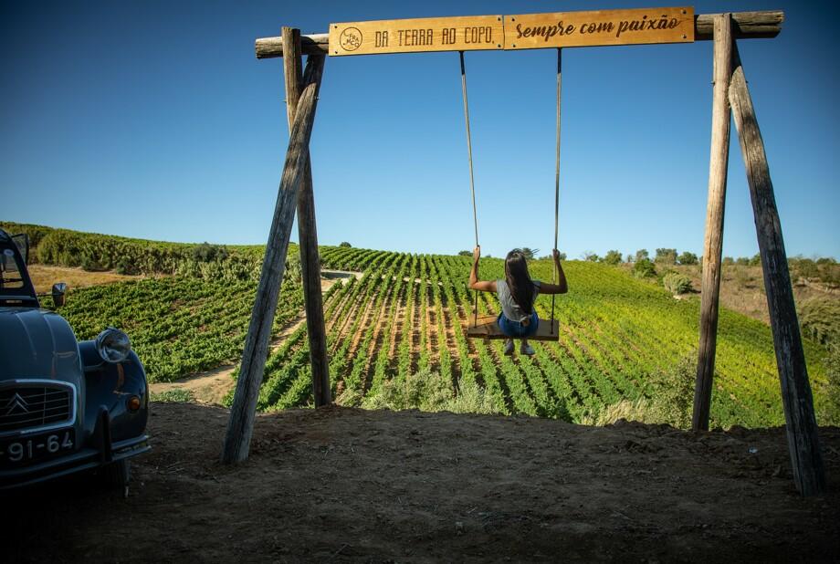 Vinhos Franco – Visita, Vinha, Prova & Museu