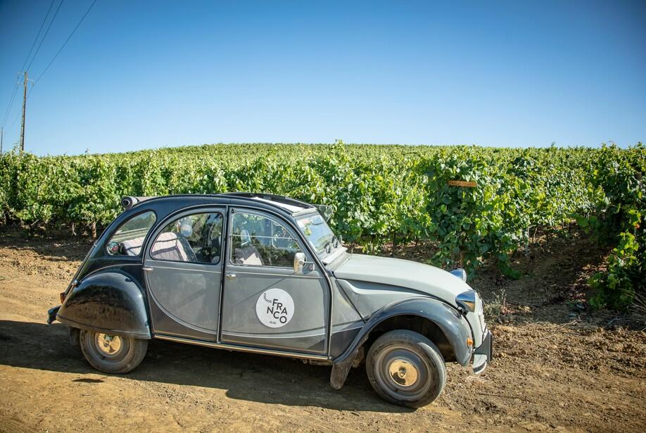 Vinhos Franco – Visita, Vinha, Prova & Museu