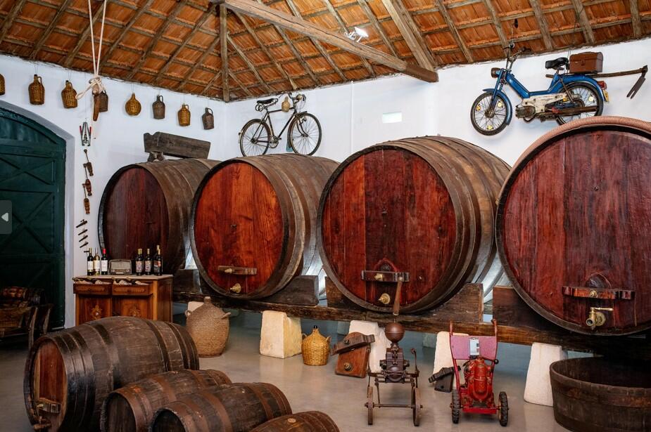 Vinhos Franco – Visita, Vinha, Prova & Museu